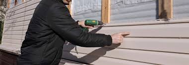 Best Insulated Siding Installation  in Laureles, TX